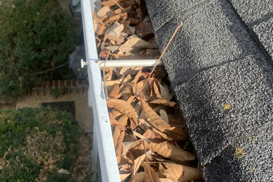 Gutter Cleaning Avon